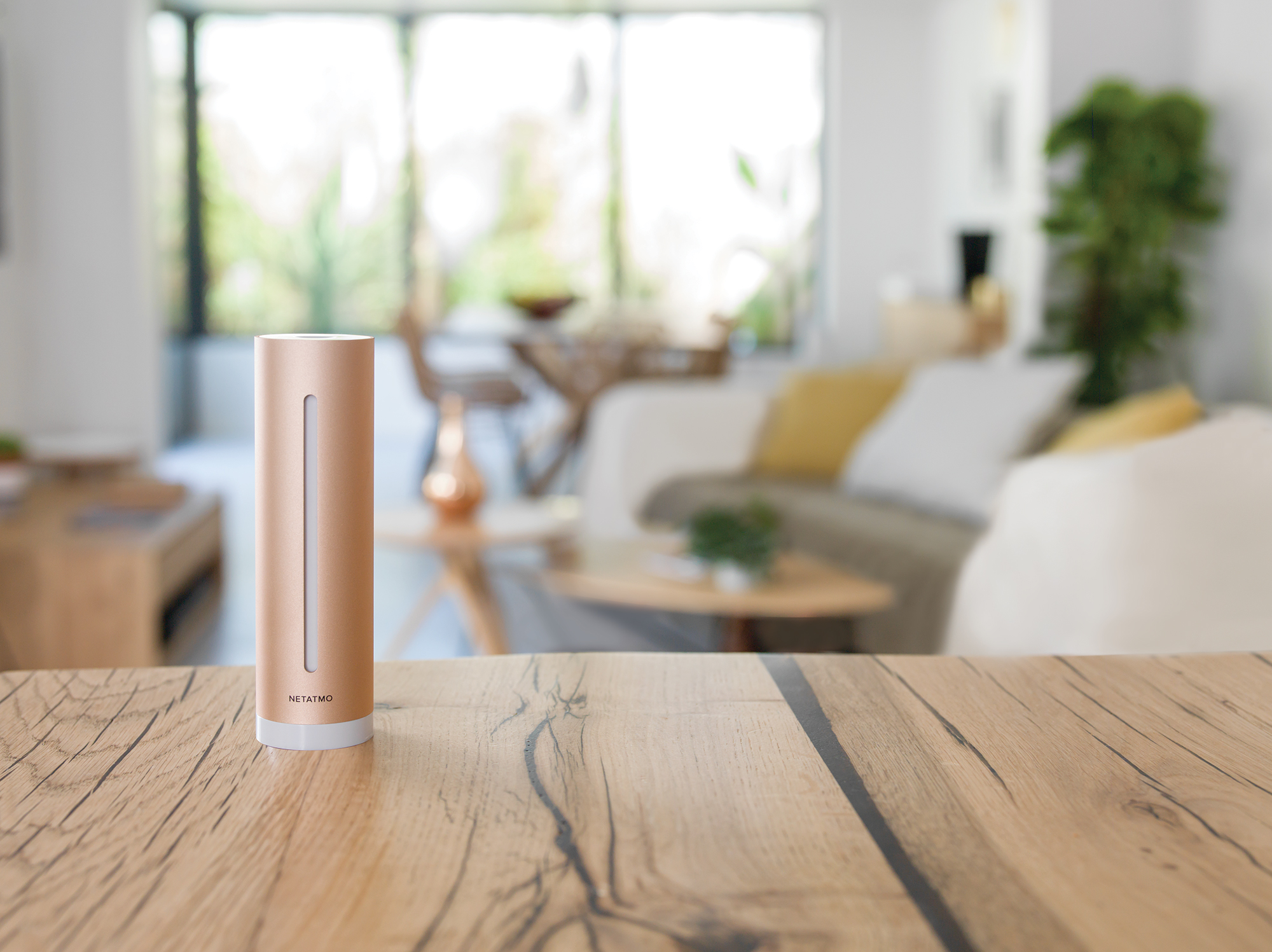 1633423061 Netatmo HHC Salon Sans acteurs WEB