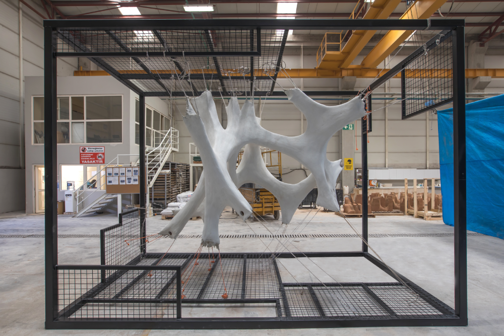 Alveosis. Rhizom kumas kalip beton sistem