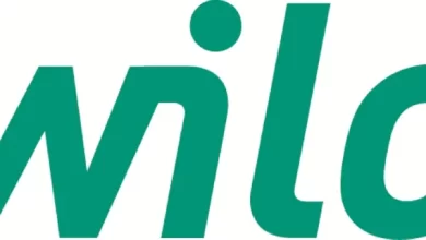 Wilo Logo