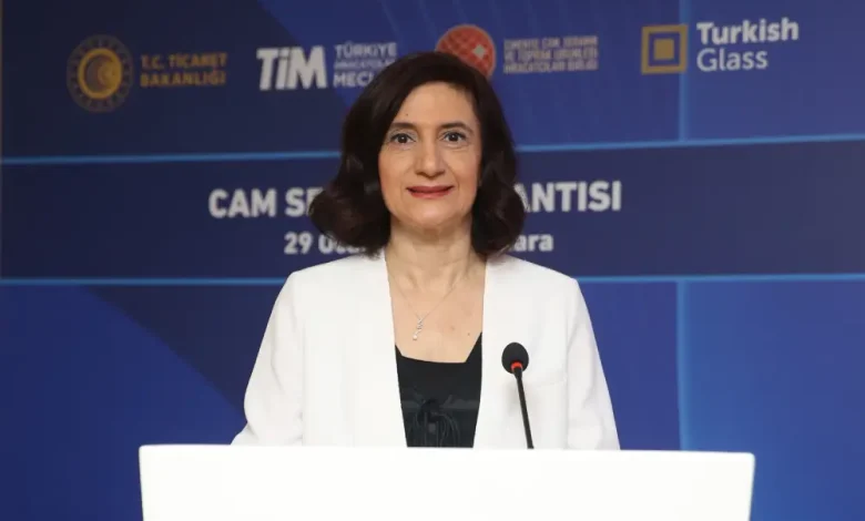 CCSIB Yonetim Kurulu Baskan Yardimcisi Tansu Kumru