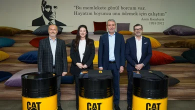 orusan Cat Faresin
